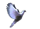 Descripci�n: Descripci�n: Descripci�n: Descripci�n: Descripci�n: Descripci�n: http://www.defensoresdecristo.com/images/espiritusanto.gif